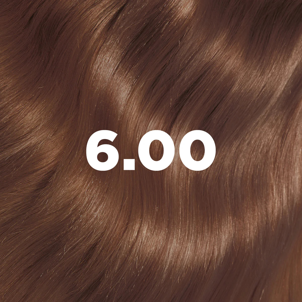 染髮套裝 6.00 深金色 (La Couleur Absolue) Dark Blond